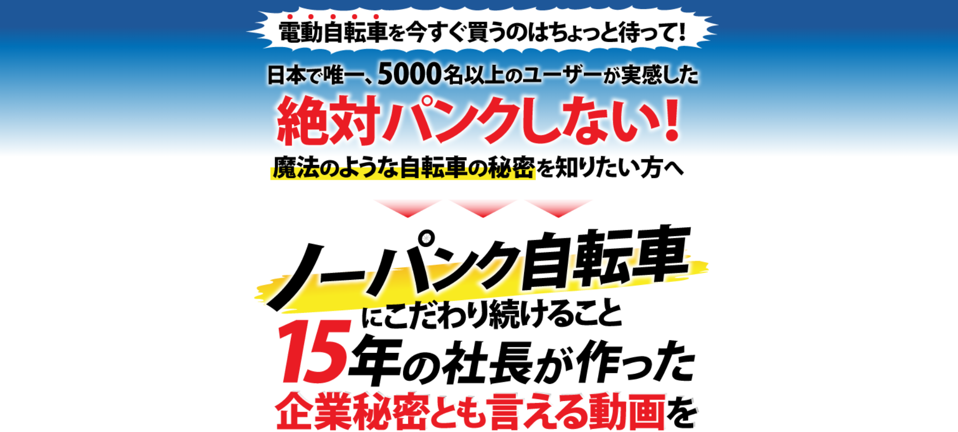 Good E-bike Shop ノーパンクタイヤ LP